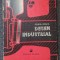 DESEN INDUSTRIAL - Ileana Vraca