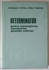 DETERMINATOR PENTRU RECUNOASTEREA DAUNATORILOR PLANTELOR CULTIVATE de ROGOJANU VICTOR si PERJU TEODOSIE , 1979 , foto