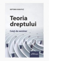 Teoria dreptului. Caiet de seminar - Septimiu Ioan Put