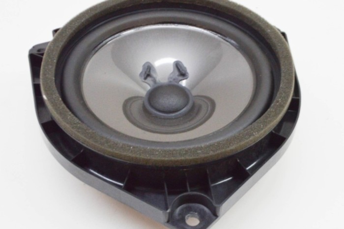 Difuzor ușă dreapta spate LEXUS RX _L2_ 2019 OEM: 86160-78060 20502276
