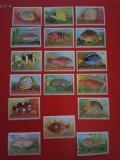 COCOS ISLANDS, FAUNA MARINĂ 1979/80 - 2 SERII COMPLETE MNH