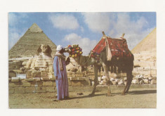 FA23-Carte Postala- EGIPT - Sphinx and Chephren Pyramid , necirculata foto