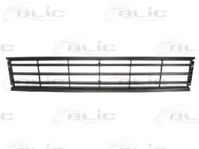 Grila ventilatie, bara protectie VW PASSAT ALLTRACK (365) (2012 - 2014) BLIC 6502-07-9547995P foto