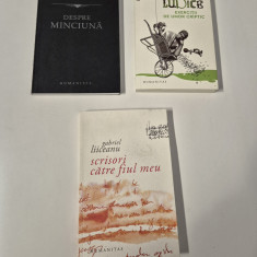 Gabriel Liiceanu Set carti trei volume
