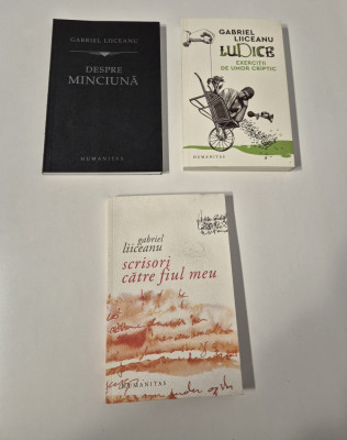 Gabriel Liiceanu Set carti trei volume foto