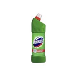 Domestos Extended Power dezinfectant WC cu clor si aroma de pin, 750 ml, Unilever