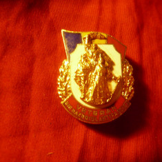 Insigna Veteran de razboi antifascist ,h=2,5cm , metal si email