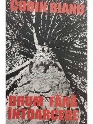 Corin Bianu - Drum fara intoarcere (semnata) (editia 2001) foto