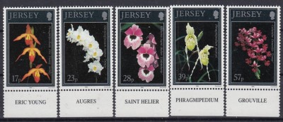 Jersey1993 - FLORA - MNH foto