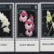 Jersey1993 - FLORA - MNH