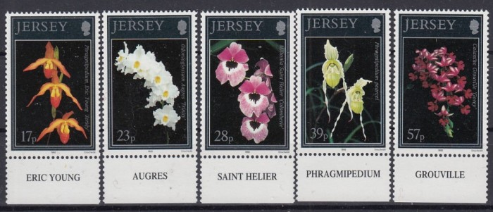 Jersey1993 - FLORA - MNH