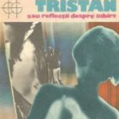 Tristan sau reflectii despre iubire