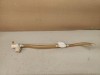 Electrovalva Masina Spalat Vase Candy CDCF6/E-S R12 Second Hand, Testata, Compatibila (Verifica Modelul)