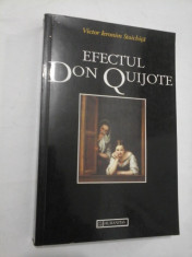 EFECTUL DON QUIJOTE - Victor Ieronim Stoichita foto