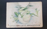 Luna din lacul broaștelor - Erni Simmich (ilustrații Regine Grube-Heinecke)