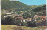 bnk cp Anina - Vedere - circulata