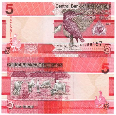 Gambia 5 Dalasis 2023 P-37c UNC foto