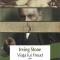 Viata lui Freud. Vol II: Paria | Irving Stone