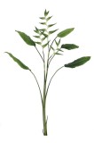 Cumpara ieftin Planta artificiala verde 43x12x172h