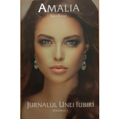 Amalia Jurnalul unei iubiri volumul 1