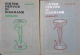 SISTEM NERVOS IN DIAGRAME. CORELATII VOL.1-2-V. MICLAUS-226039
