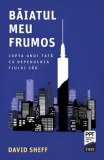 Cumpara ieftin Baiatul meu frumos. Lupta unui tata cu dependenta fiului sau/David Sheff, Trei
