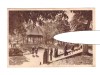 CP Bistrita - Vedere din parc, RPR, circulata 1957, animata, stare buna, Printata