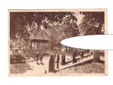 CP Bistrita - Vedere din parc, RPR, circulata 1957, animata, stare buna, Printata