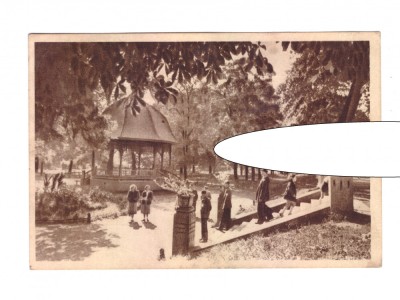 CP Bistrita - Vedere din parc, RPR, circulata 1957, animata, stare buna foto