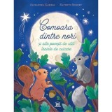 Comoara dintre nori si alte povesti de citit inainte de culcare, DPH