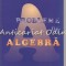 Probleme De Algebra - Luciana Lupas, Alexandru Lupas