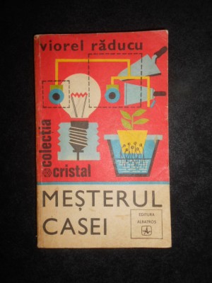 Viorel Raducu - Mesterul casei foto