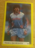 B10 - Sticker fotbal - Campionatul national Romania editia 1994/1995 - nr 333