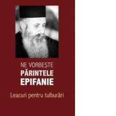 Ne vorbeste parintele Epifanie, vol. 2. Leacuri pentru tulburari - Arhimandrit Epifanie Teodoropulos