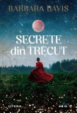 Secrete din trecut Barbara Davis Fictiune Paperback Mister Suspans Carte Litera