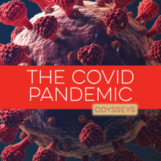 The Covid Pandemic