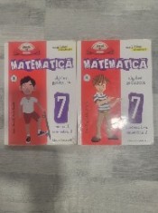 Matematica.Algebra.Geometrie clasa a VII a-Anton Negrila