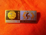 Insigna Congres al Solidaritatii la Skopje - Macedonia , metal si email , L=4cm