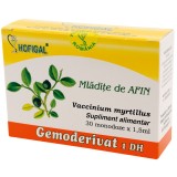 GEMODERIVAT MLADITE AFIN 1,5ML*30MDZ