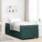 vidaXL Cadru de pat cu saltea Verde &icirc;nchis 100 x 200 cm Catifea