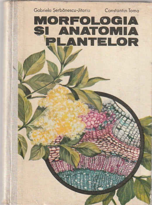 GABRIELA SERBANESCU-JITARIU, CONSTANTIN TOMA - MORFOLOGIA SI ANATOMIA PLANTELOR