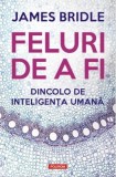 Feluri de a fi. Dincolo de inteligenta umana - James Bridle - Editura Polirom