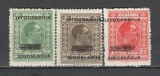 Iugoslavia.1933 Ajutor ptr. inundatie-supr. SI.111