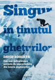 Singur &icirc;n ținutul ghețurilor - Paperback brosat - David Roberts - Art