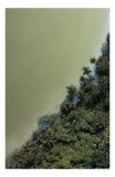 Tablou Canvas, "Pădurea tropicală &icirc;nt&acirc;lnește marea calmă", Pădure, Palmieri, Apă, Mal, Natură, Verde, Peisaj, Aerian, Tranziție, Contrast., 26 x 39 cm