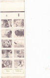 USA CARNET - 1981- Fauna - Serie de 10 timbre nestampilate MNH, Stampilat