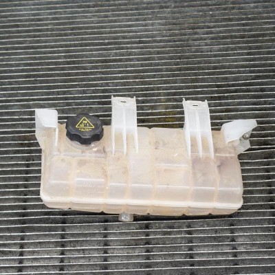 Vas de expansiune TESLA MODEL S 2017 OEM: 1036124-00-C 4082423 foto
