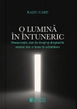 O lumină &icirc;n &icirc;ntuneric - Paperback brosat - Radu Carp - Cetatea de Scaun