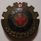 Insigna - G. P. A. S. - R. P. R.