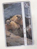 bnk card Cartele telefonice - Israel - fauna